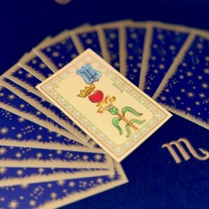 Consultation essentielle 30 min.